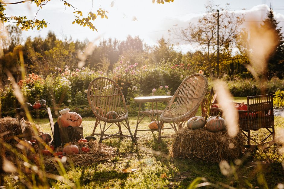 Kleurrijke herfstkransen sieren tuinhek.