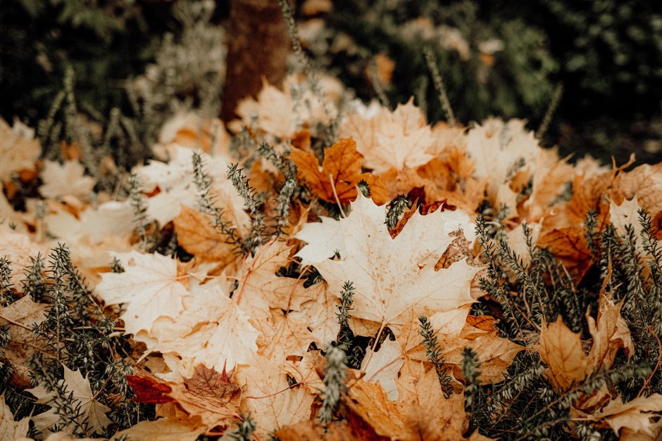 Minimalistische herfstdecoraties met veel bladeren en kaarsen.